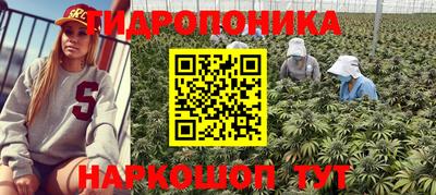 a pvp Бузулук