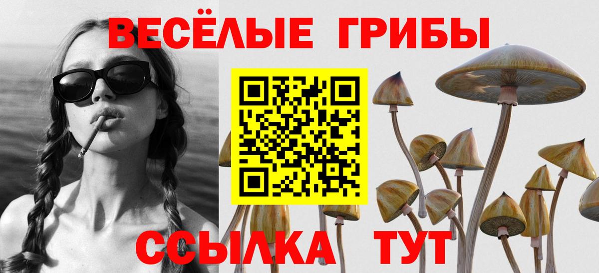 Михайловск  Галлюциногенные грибы ЛСД  Вход с VPN 