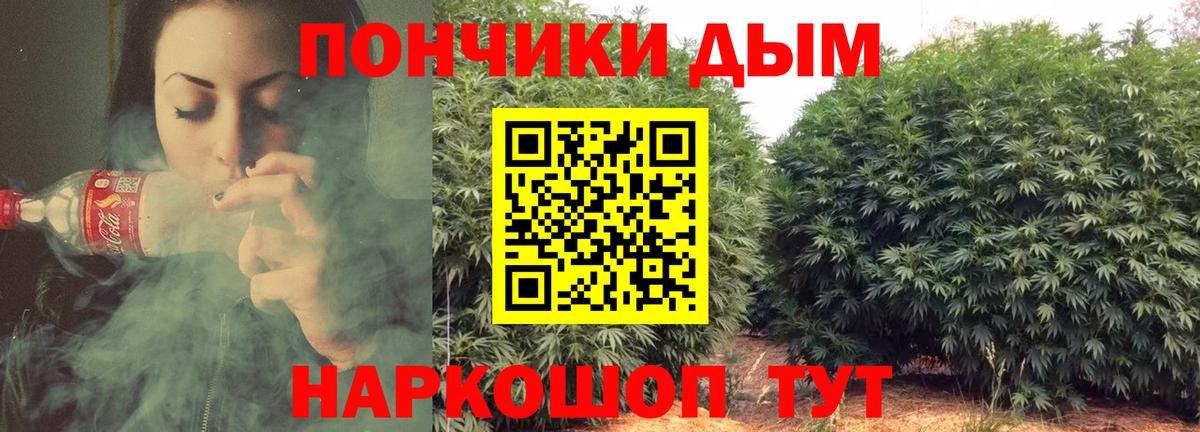 Михайловск  Бошки марихуана Ganja  Вход с VPN  Канабис планчик  Бошки Шишки Bruce Banner 